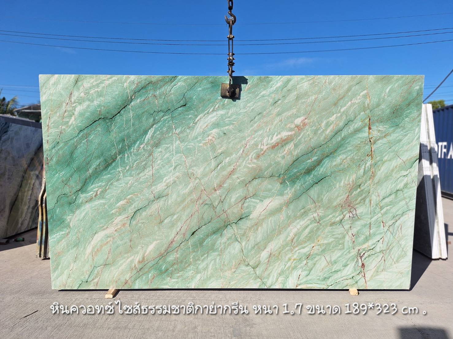 ./ProdImg/cover/MB3 กาย่ากรีน/20251208112850.jpg